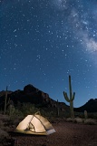 Tent under night sky - Organ Pipe Cactus National Monument, Arizona
