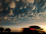 Pickup truck under mammatus clouds - near Woodward, Oklahoma