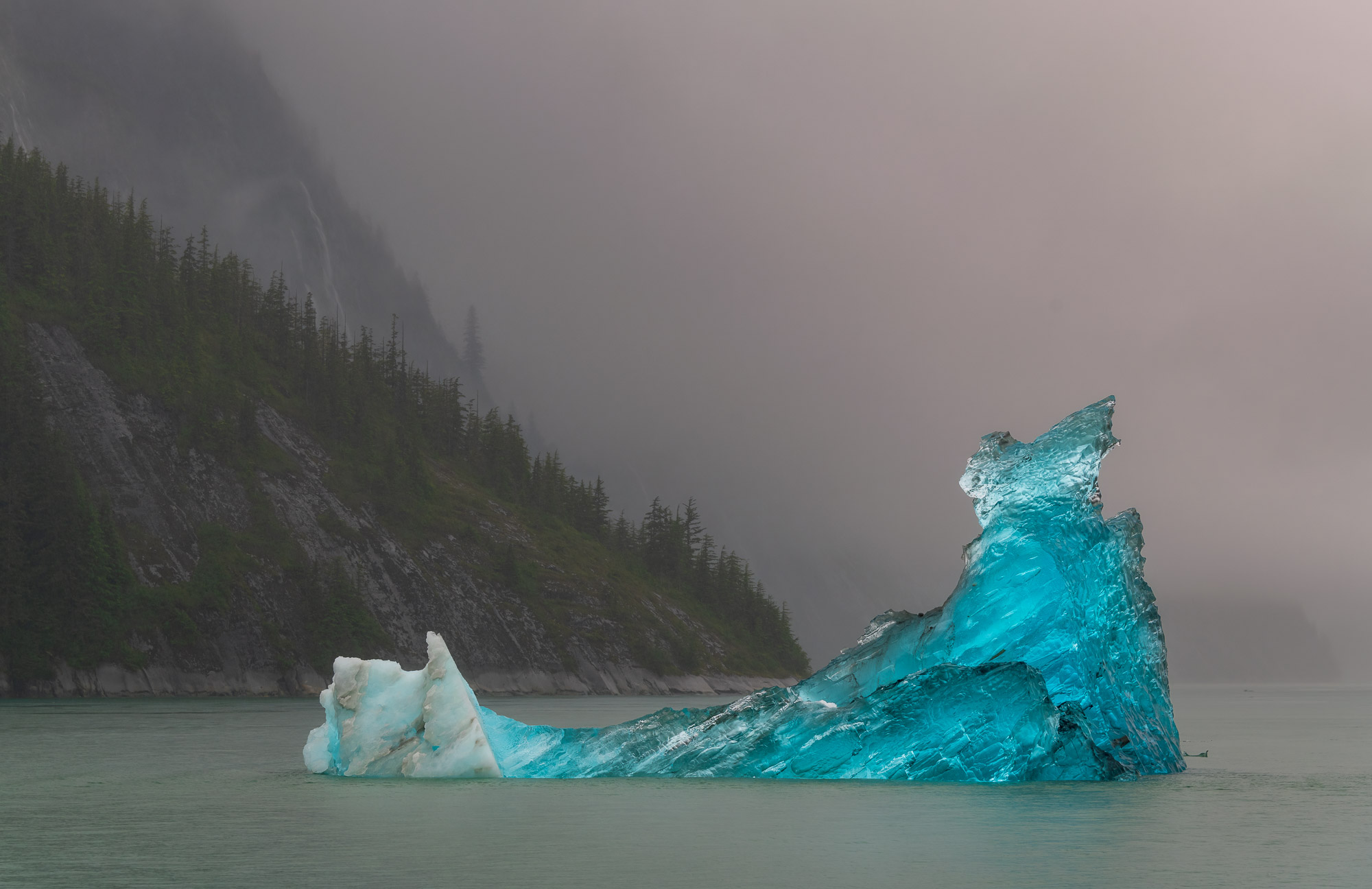 Blue iceberg - Tracy Arm Fjord, Alaska