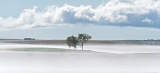 Hail fog - Gordon, Nebraska