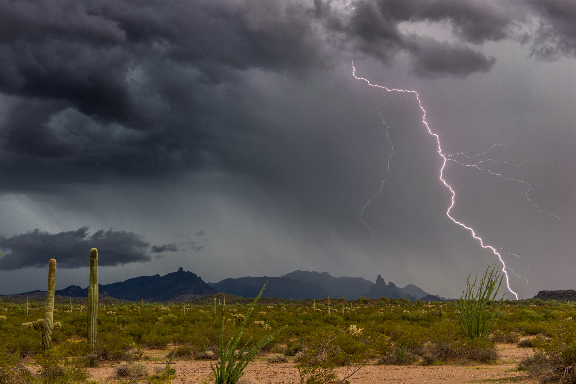 Sonoran Desert Monsoon lightning - Ajo, Arizona