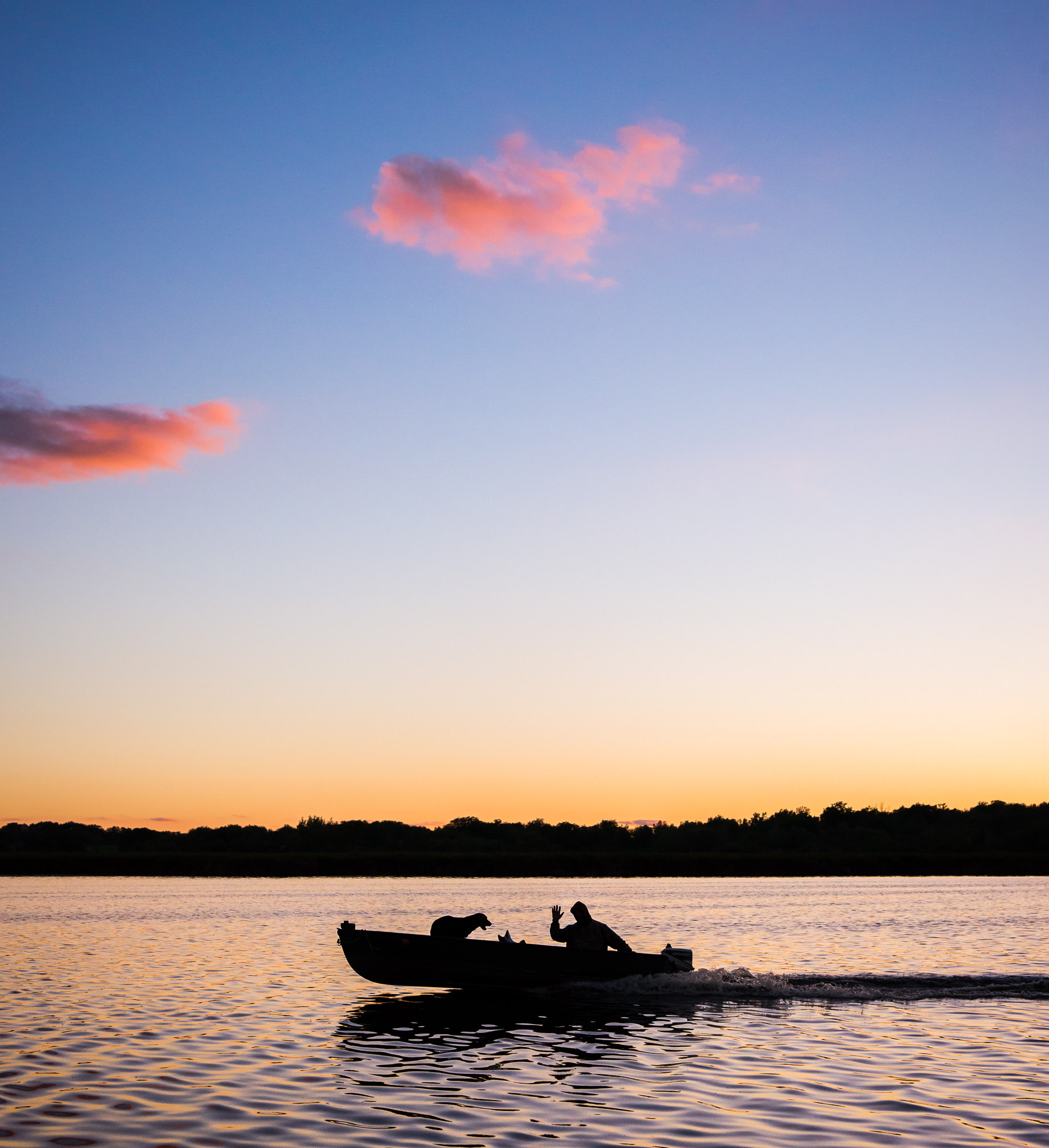 Man and dog in boat at dusk - Horicon Marsh, Wisconsin