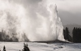 Old Faithful Geyser erupting - Yellowstone National Park, Wyoming