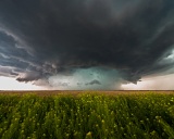 Severe hail storm - near Aurora, Colorado