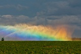 Rainbow in irrigator spray - Homestead, Florida