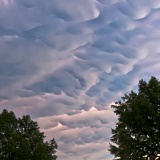 Mammatus and trees - Fort Worth, Texas