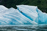 Iceberg - Tracy Arm, Alaska