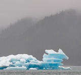 Iceberg - Tracy Arm, Alaska