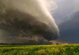 Storm and flowers - Carter, Oklahoma