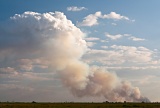 Pyrocumulus Cloud - Kissimmee Prairie State Park, Florida