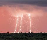 Lightning at sunset - Everglades National Park, Florida