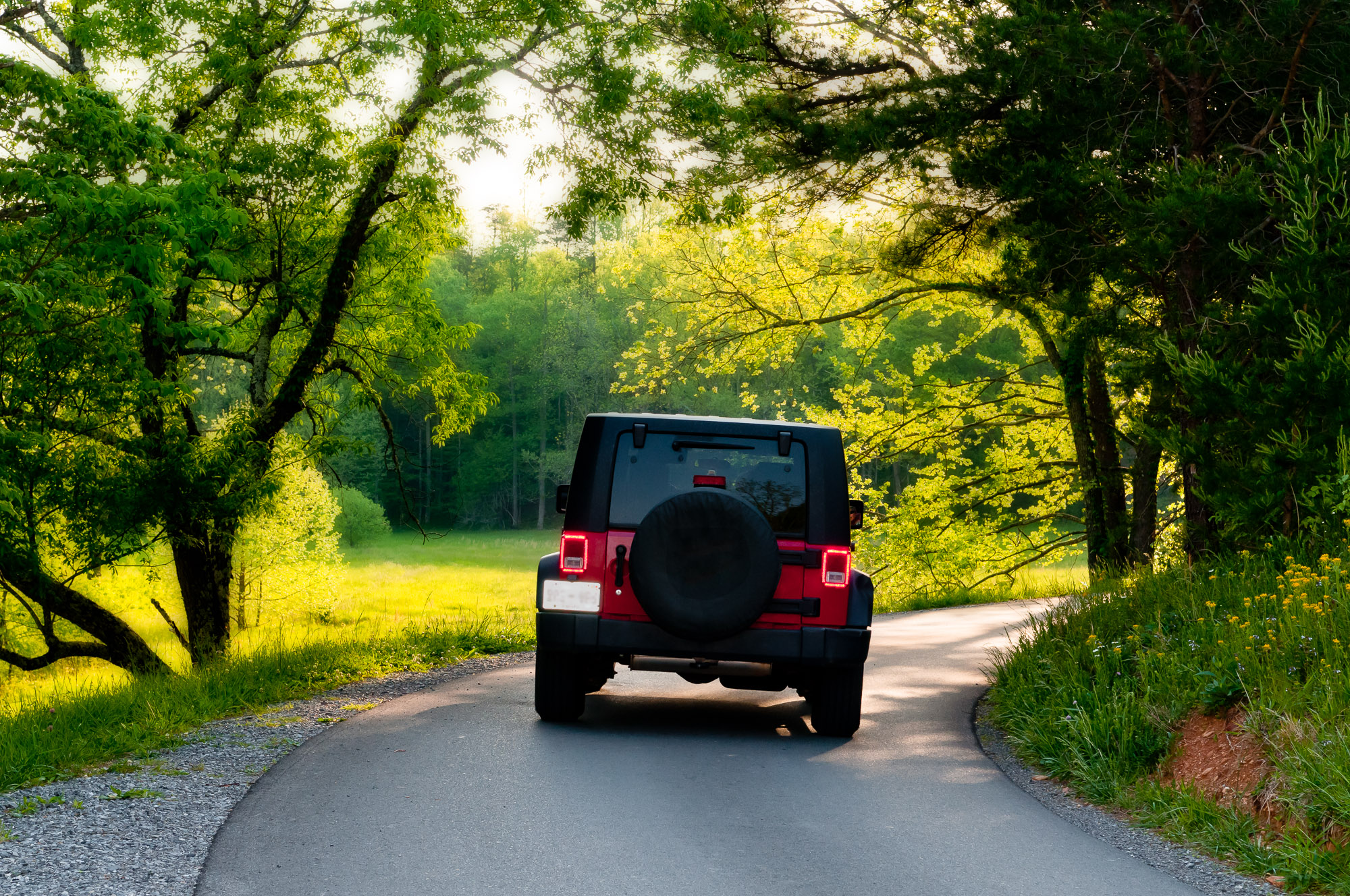 jeep tours nashville tn