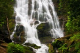 Mingo Falls - Great Smoky Mountains National Park