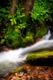 Cascade on Indian Creek - Great Smoky Mountains National Park, North Carolina