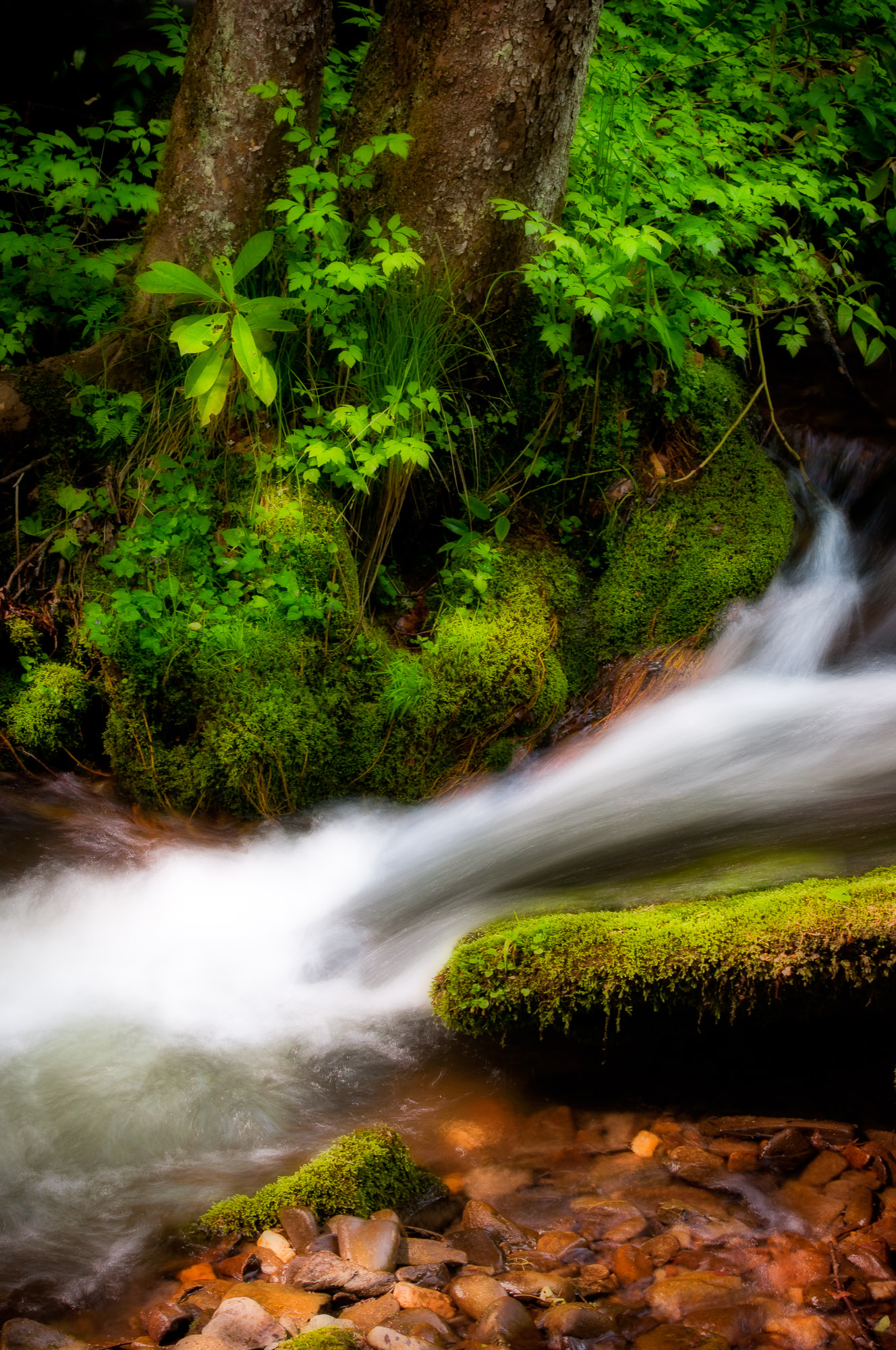 Cascade on Indian Creek - Great Smoky Mountains National Park, North Carolina